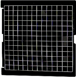Glue Board (MGVTR2) for Vanquish fly killer